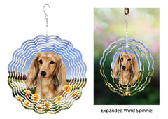 Dachshund (Longhair, English Cream) - Wind Spinner