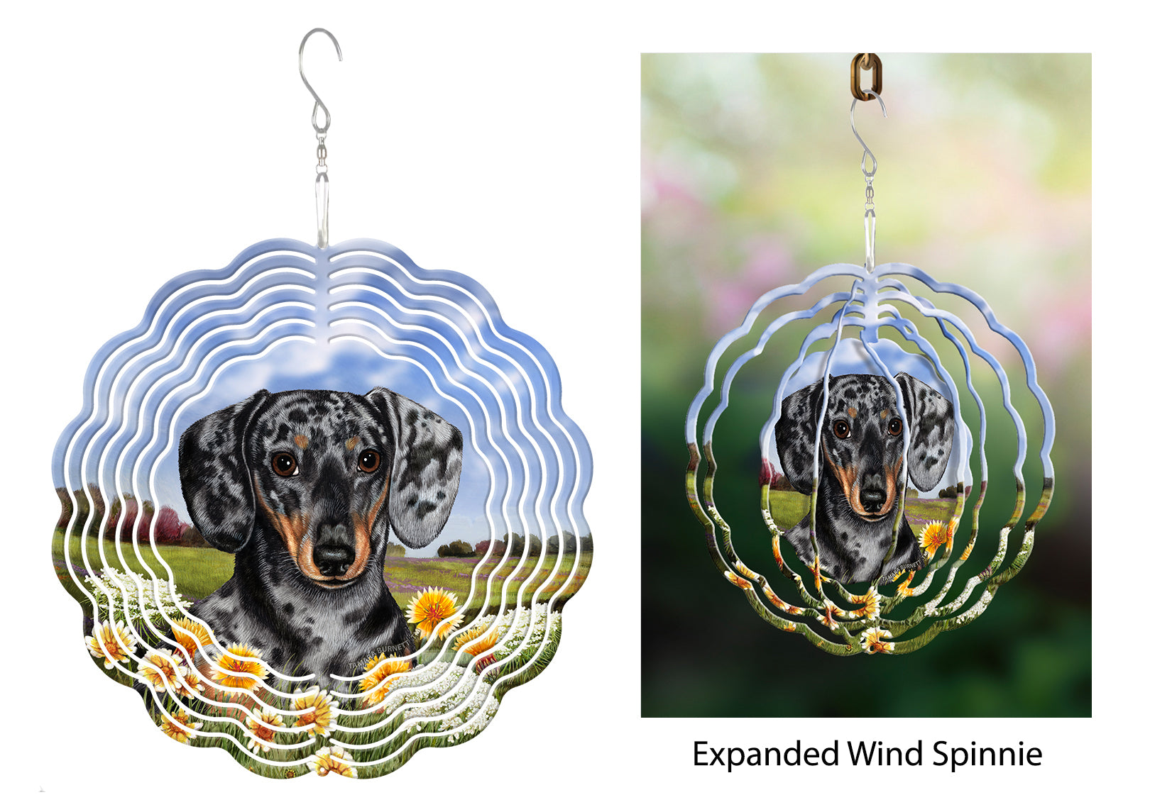 Dachshund (Shorthair, Light Black And Tan Dapple) - Wind Spinner