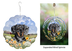 Dachshund (Shorthair, Light Black And Tan Dapple) - Wind Spinner