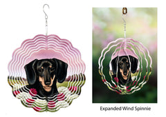 Dachshund (Shorthair, Black and Tan) - Wind Spinner