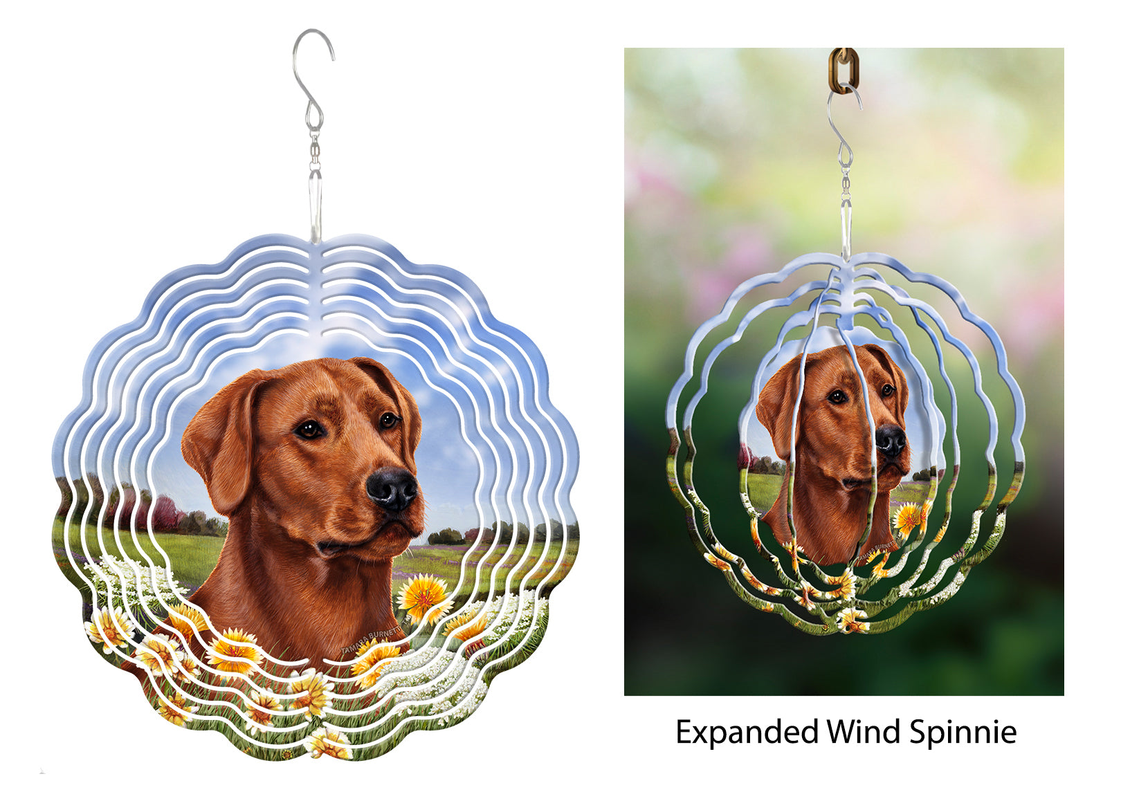 Labrador Retriever (Red, American) - Wind Spinner