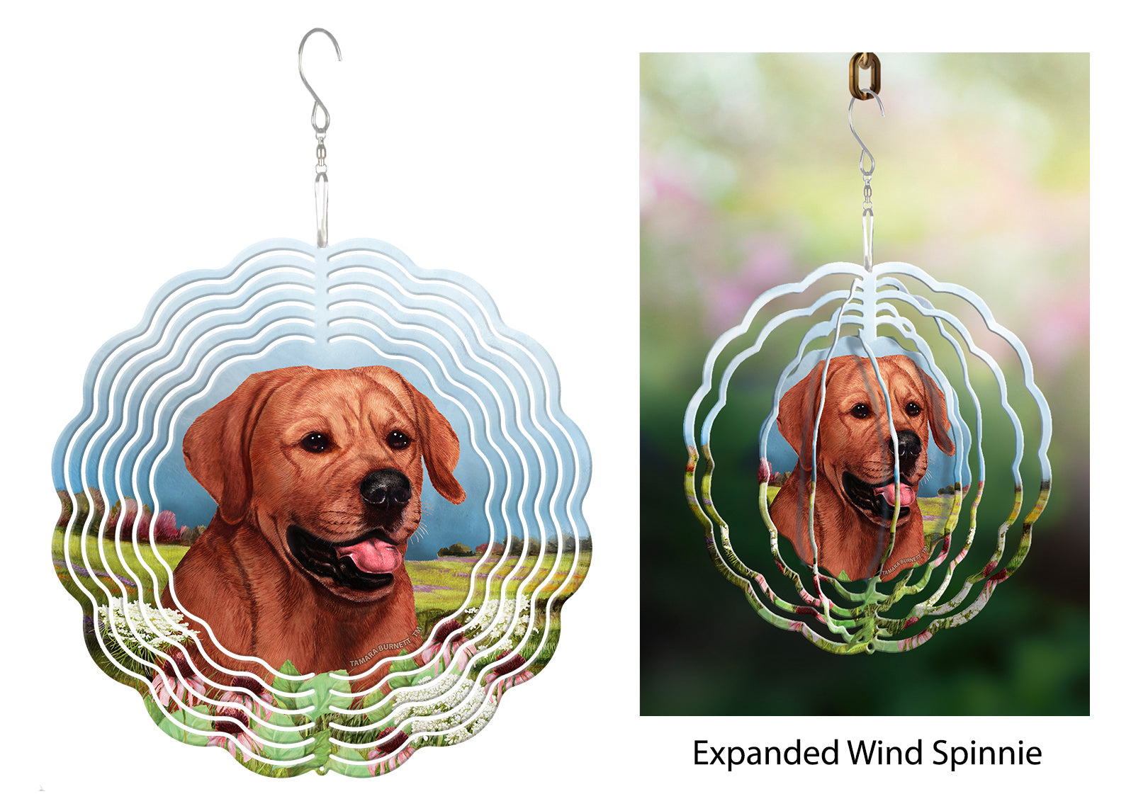 Labrador Retriever (Red, English) - Wind Spinner