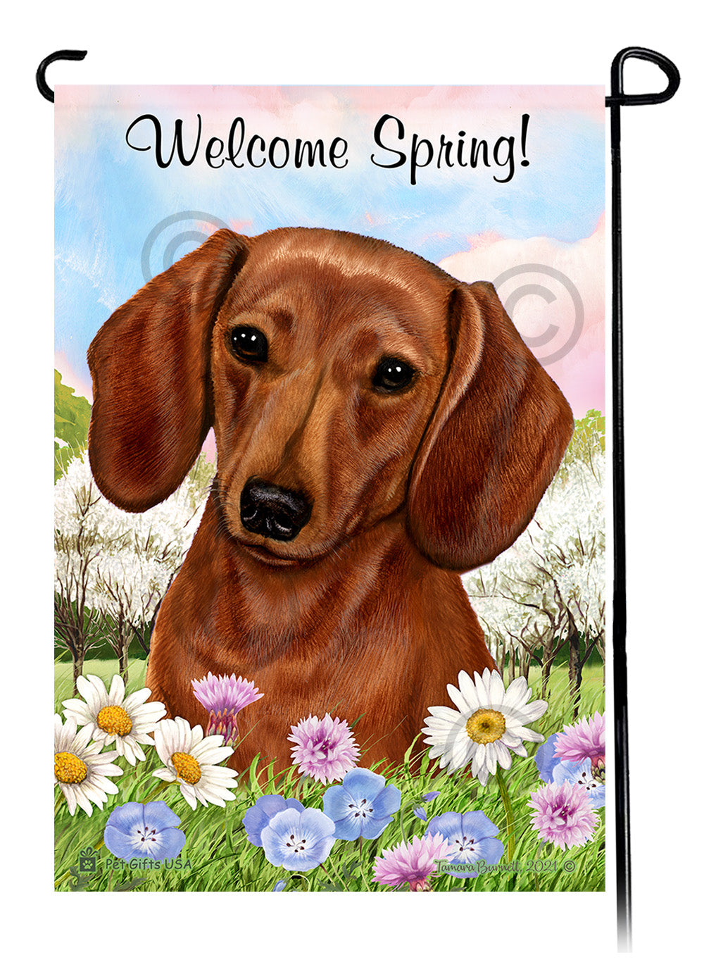 Dachshund Shorthair Red - Welcome Spring Garden Flag