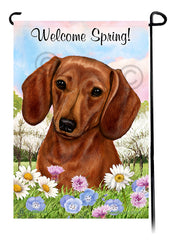 Dachshund Shorthair Red - Welcome Spring Garden Flag