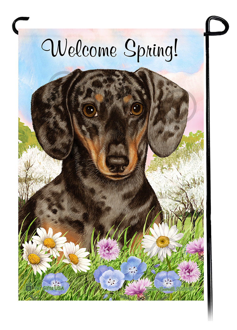 Dachshund Shorthair Dapple Chocolate and Tan - Welcome Spring Garden Flag