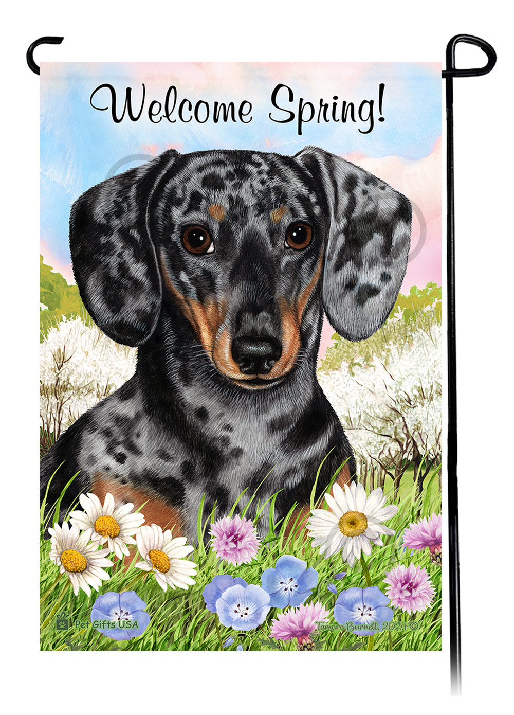 Dachshund Shorthair Dapple Light Black and Tan - Welcome Spring Garden Flag