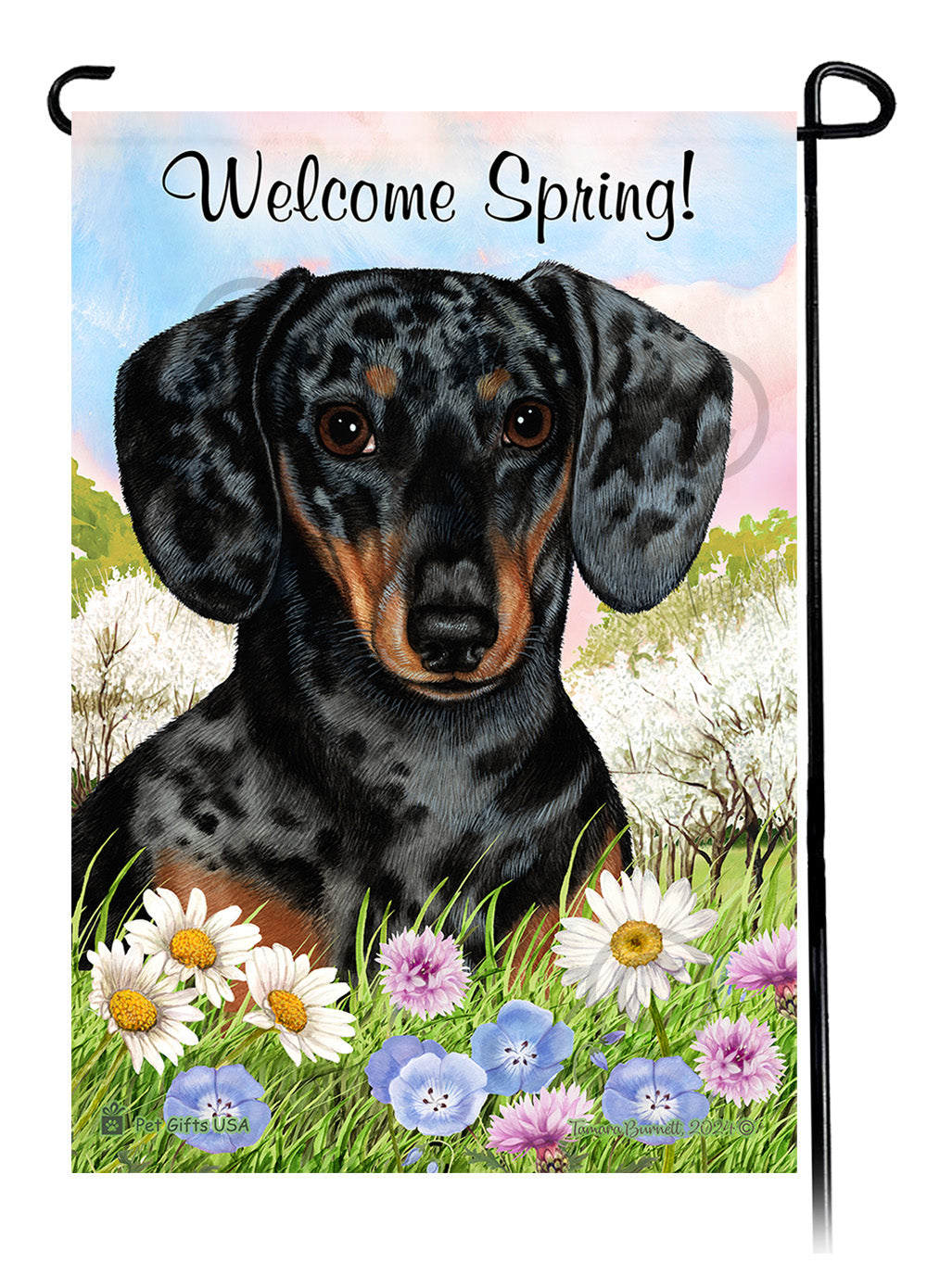 Dachshund Shorthair Dapple Dark Black and Tan - Welcome Spring Garden Flag
