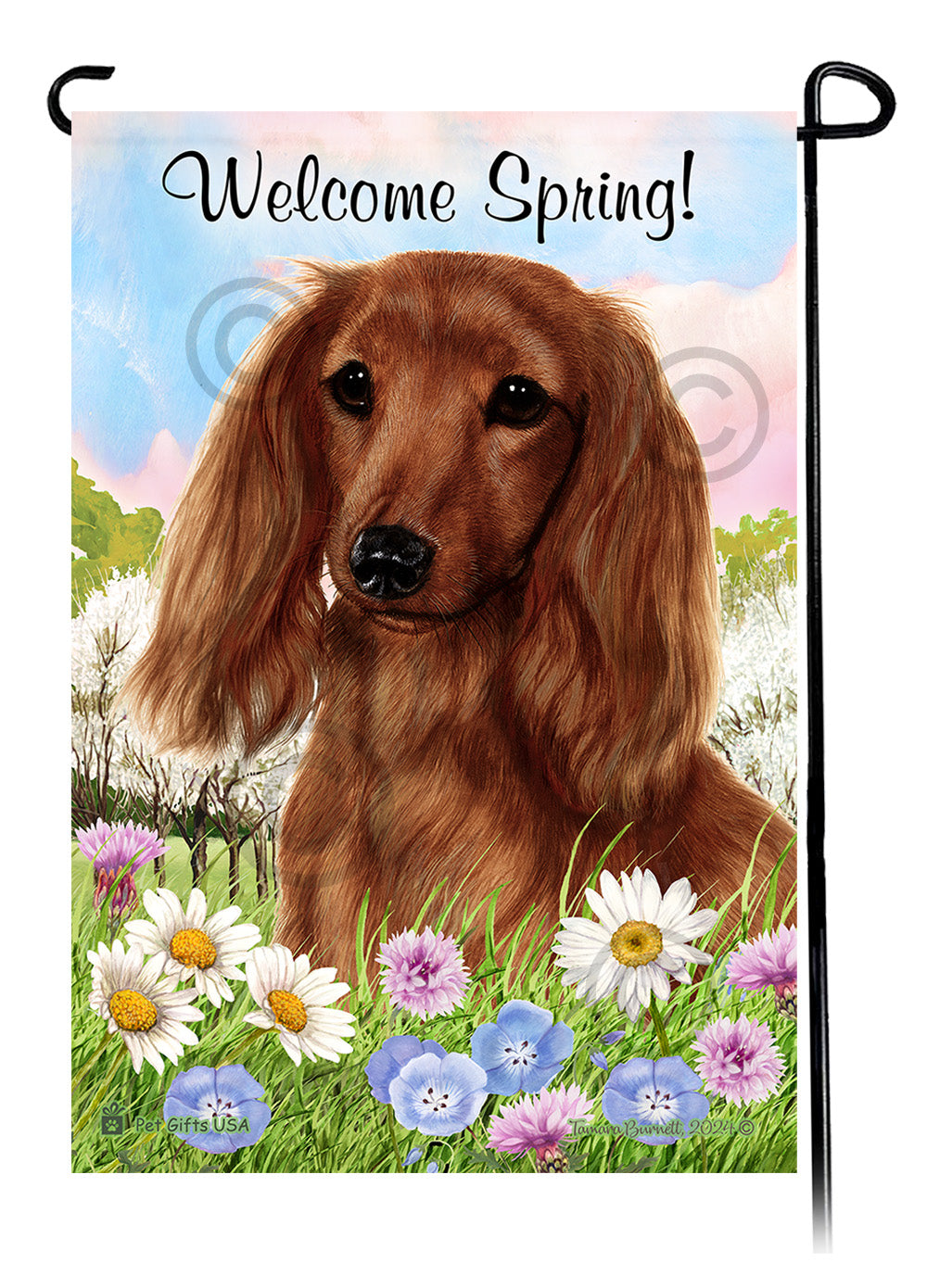 Dachshund Longhair Red - Welcome Spring Garden Flag