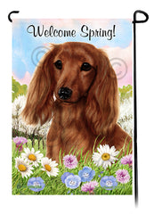 Dachshund Longhair Red - Welcome Spring Garden Flag