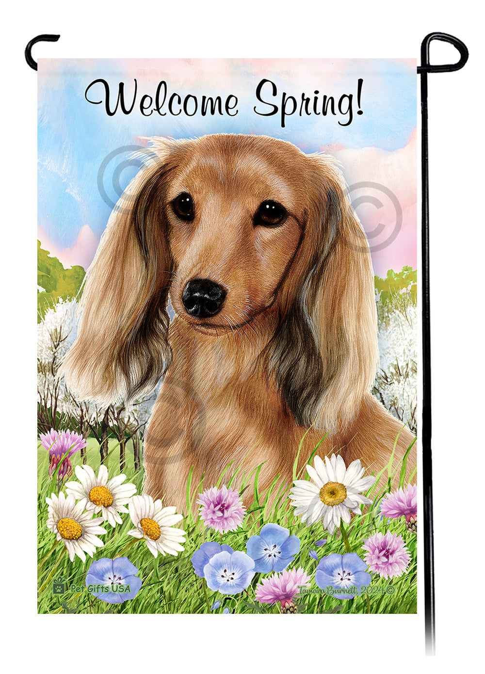 Dachshund Longhair English Cream - Welcome Spring Garden Flag