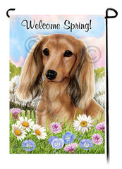 Dachshund Longhair English Cream - Welcome Spring Garden Flag