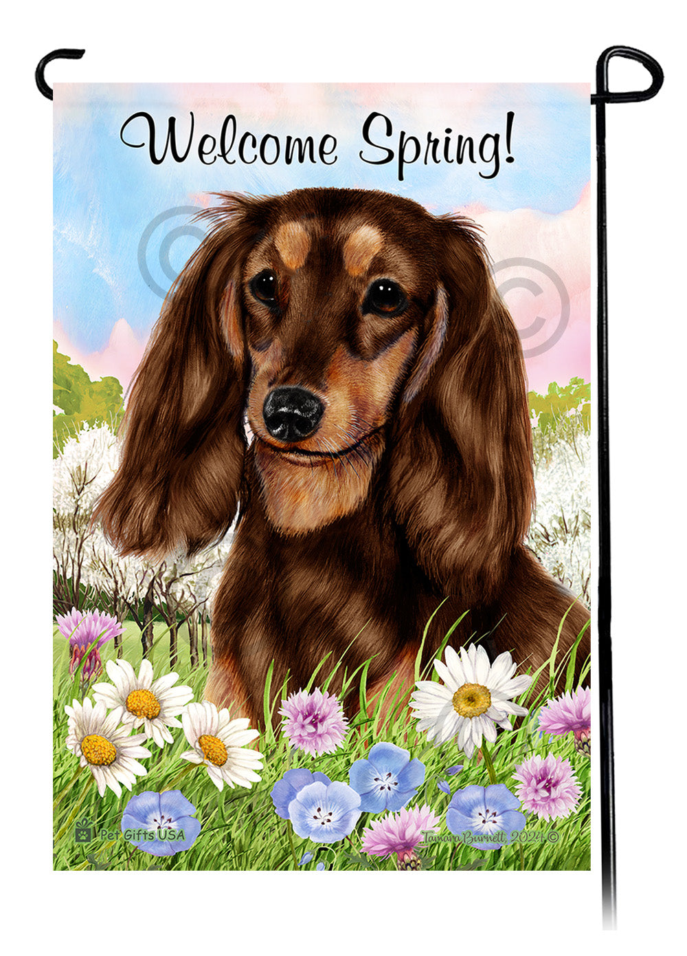 Dachshund Longhair Chocolate and Tan - Welcome Spring Garden Flag
