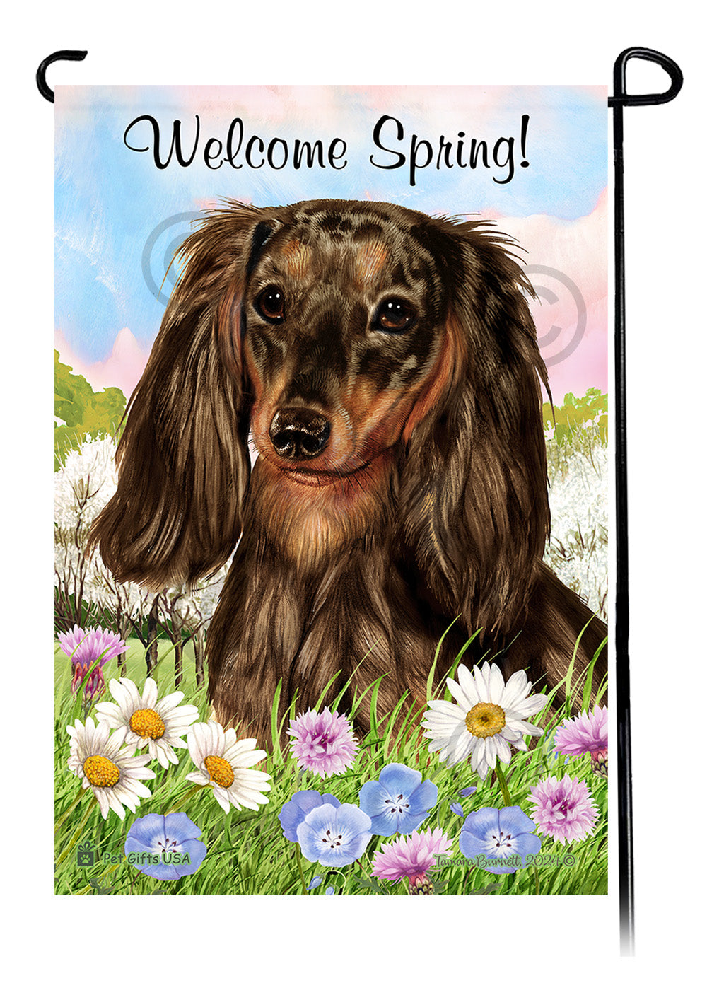 Dachshund Longhair Chocolate Dapple - Welcome Spring Garden Flag