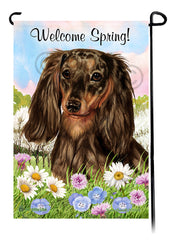 Dachshund Longhair Chocolate Dapple - Welcome Spring Garden Flag