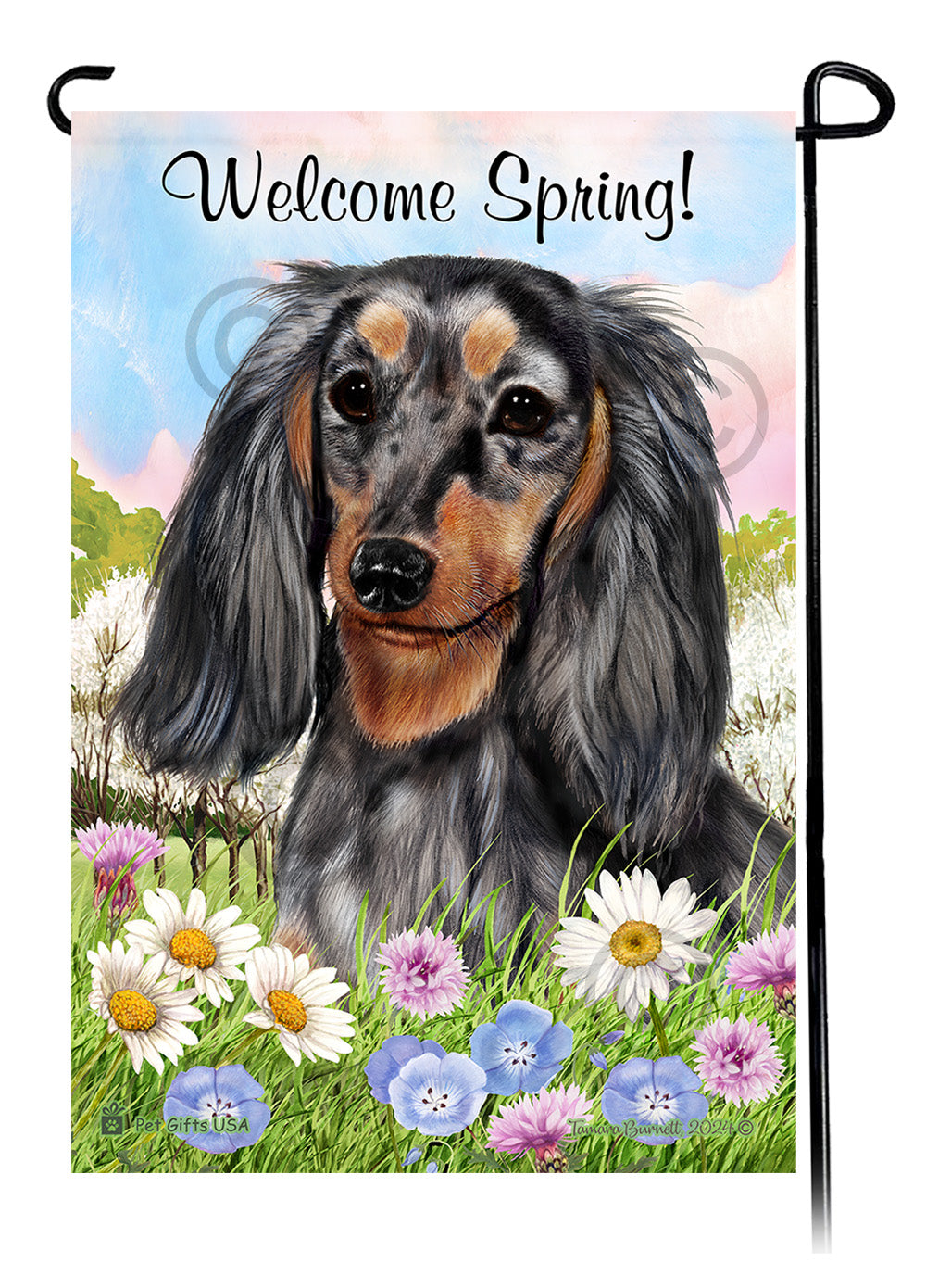 Dachshund Longhair Light Black and Tan Dapple - Welcome Spring Garden Flag