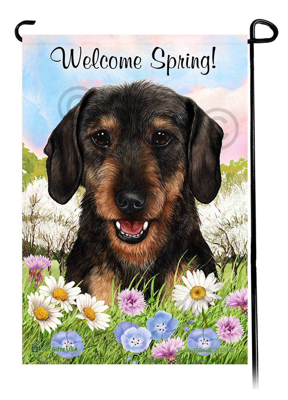 Dachshund Wirehair Black and Tan - Welcome Spring Garden Flag
