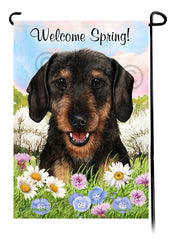 Dachshund Wirehair Black and Tan - Welcome Spring Garden Flag