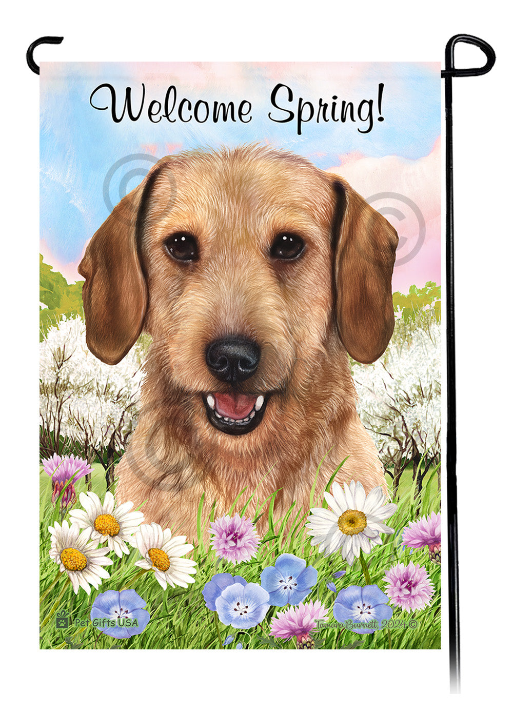 Dachshund Wirehair Wheaten - Welcome Spring Garden Flag