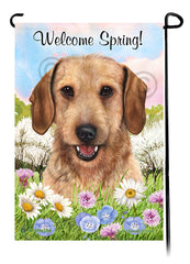 Dachshund Wirehair Wheaten - Welcome Spring Garden Flag