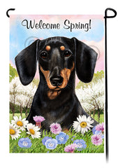 Dachshund Shorthair Black and Tan - Welcome Spring Garden Flag