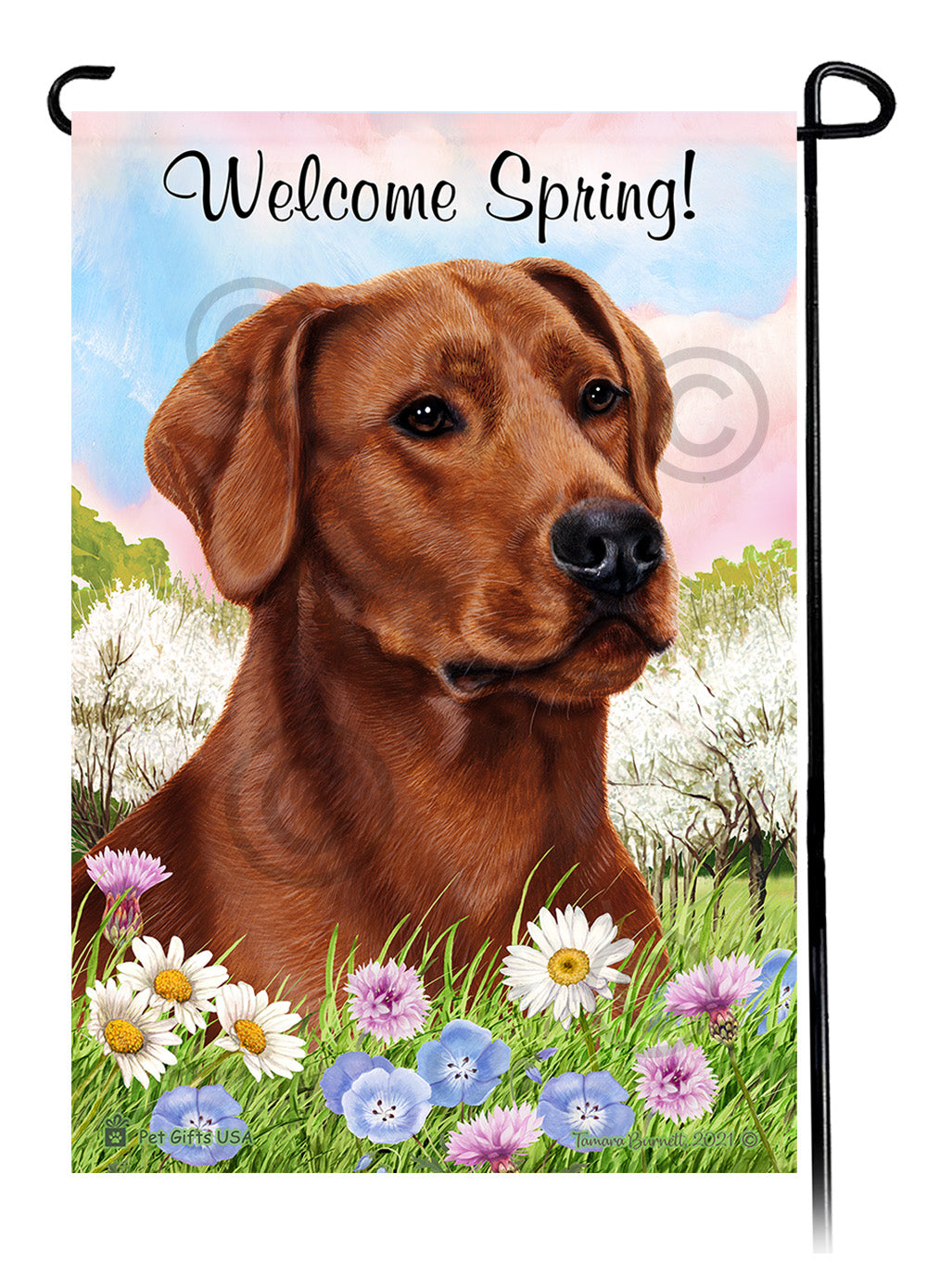 Labrador Retriever American Red - Welcome Spring Garden Flag