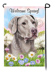 Labrador Retriever American Silver - Welcome Spring Garden Flag