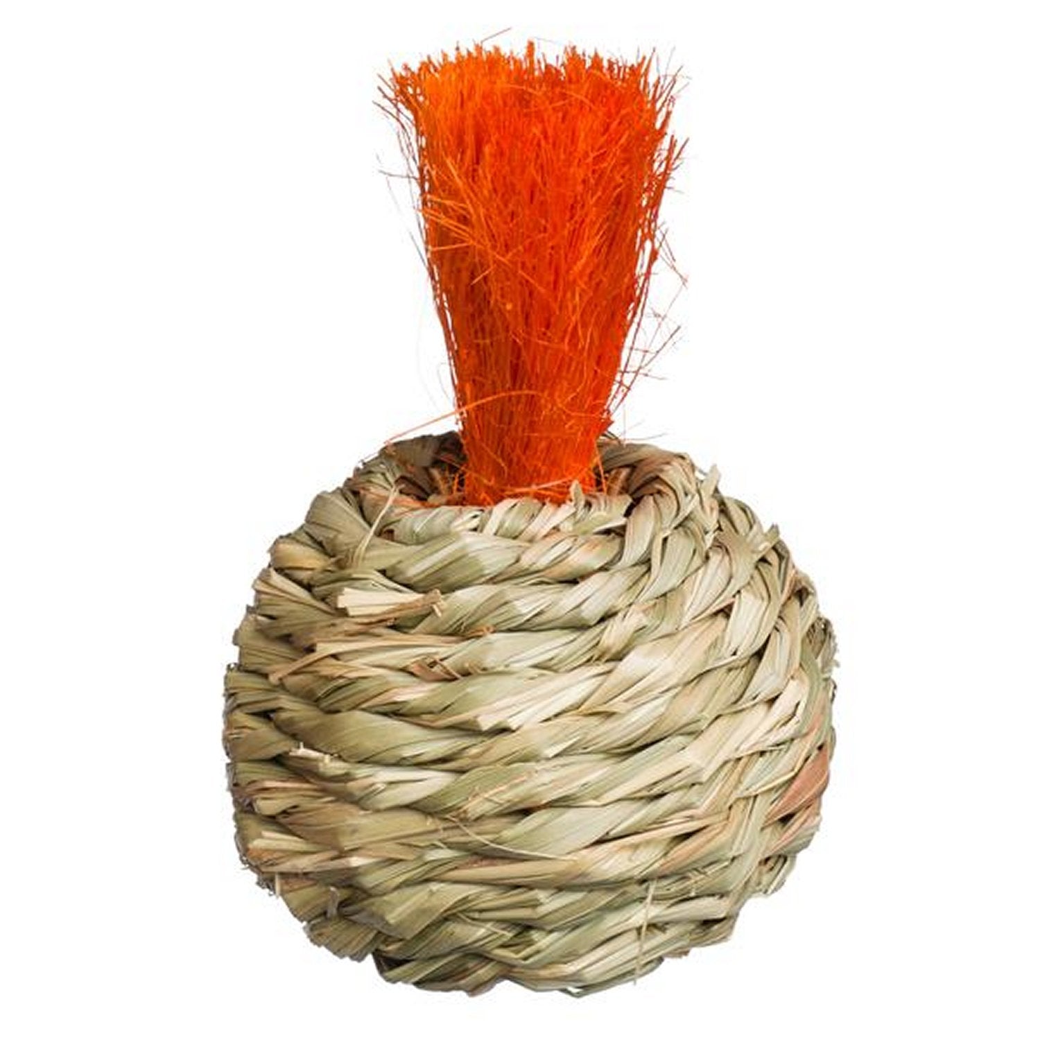 Prevue Pet Products Grassy Nibblers Squash