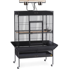 Select Wrought Iron Play Top Parrot Cage - Chalk White