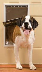 PetSafe Freedom Pet Door Extra Large