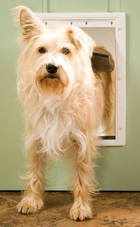 PetSafe Plastic Dog Door Medium