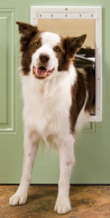 PetSafe Plastic Dog Door Large