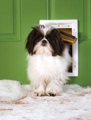 PetSafe Extreme Weather Plastic Frame Dog and Cat Door Small