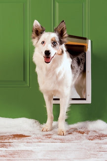 PetSafe Extreme Weather Plastic Frame Dog and Cat Door Medium