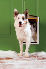 PetSafe Extreme Weather Plastic Frame Dog and Cat Door Medium