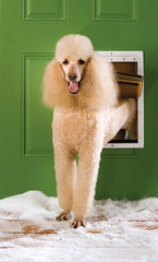 PetSafe Extreme Weather Pet Door Large