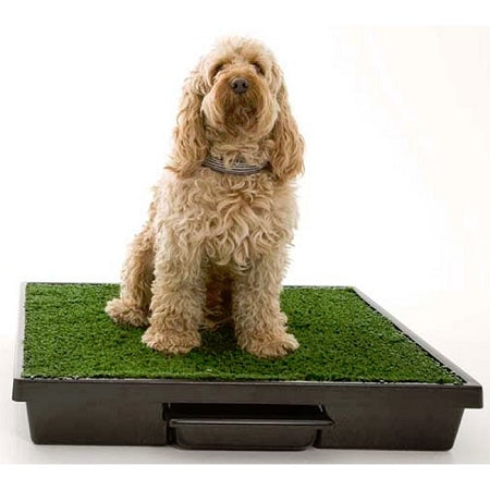 PetSafe Pet Loo Dog Potty Training System Medium