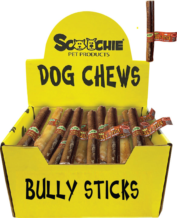 6 Inch JUMBO Bully Stick With Scoochie Cigar Band/UPC Small PDQ of 24