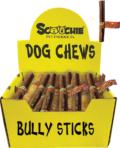 6 Inch JUMBO Bully Stick With Scoochie Cigar Band/UPC Small PDQ of 24