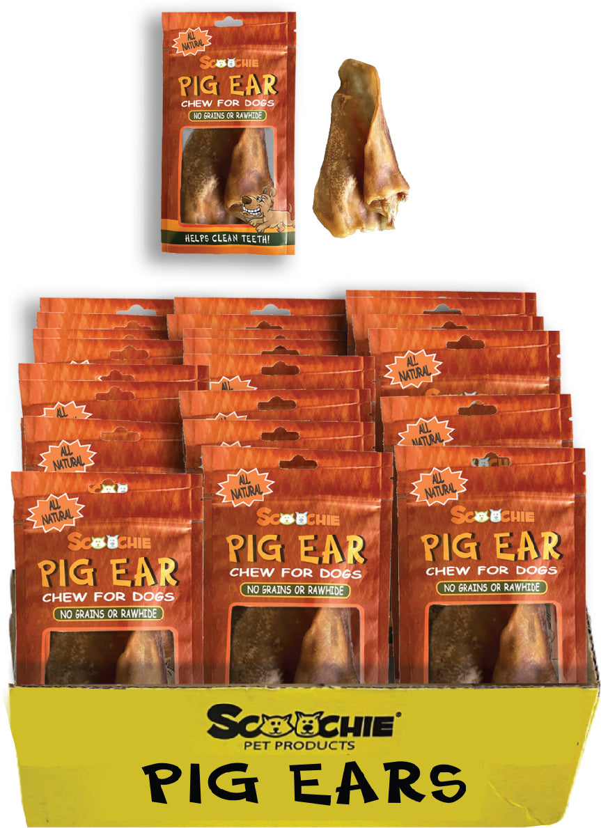 Irradiated Pig Ear Full Printed Peggable Bag Large PDQ of 36