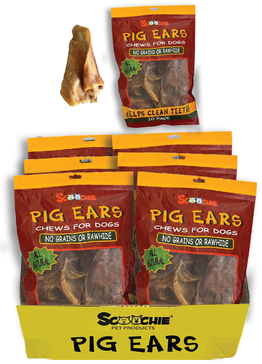 10 Pack Pig Ear in Printed Zip Lock Bag Large PDQ of 6