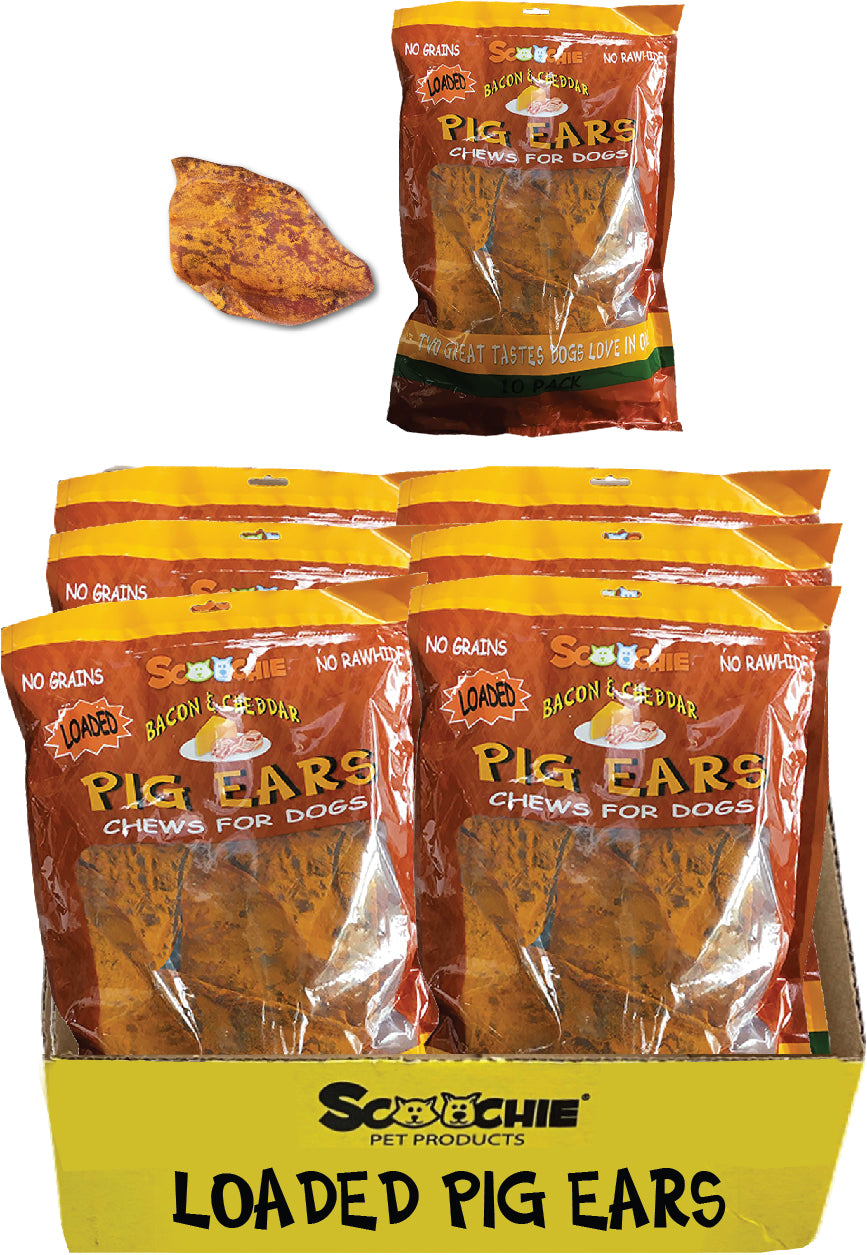 Bacon & Cheddar Loaded Pig Ears 10 Pack Peggable Zip Lock Bag Large PDQ of 6
