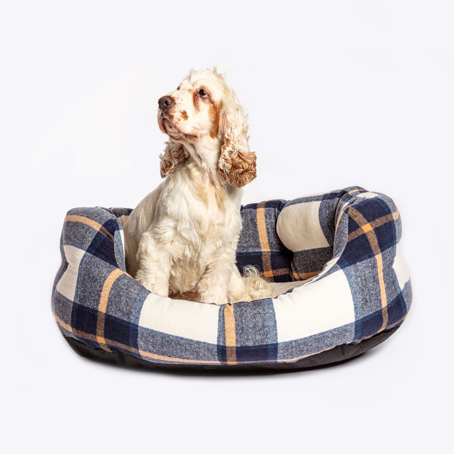 Bowmore Navy Deluxe Slumber Bed Large (35")