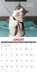 Bad Kitties 2027 12" x 12" Wall Calendar