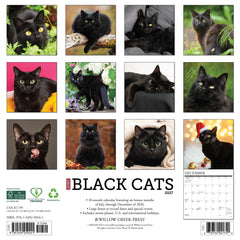 Black Cats 2027 12" x 12" Wall Calendar