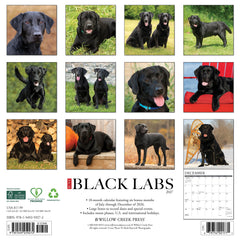 Black Labs 2027 12" x 12" Wall Calendar