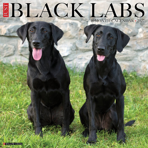Black Labs 2027 12" x 12" Wall Calendar