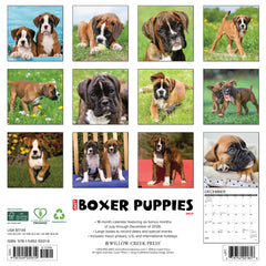 Boxer Puppies 2027 12" x 12" Wall Calendar
