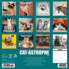Cat-astrophe 2027 12" x 12" Wall Calendar