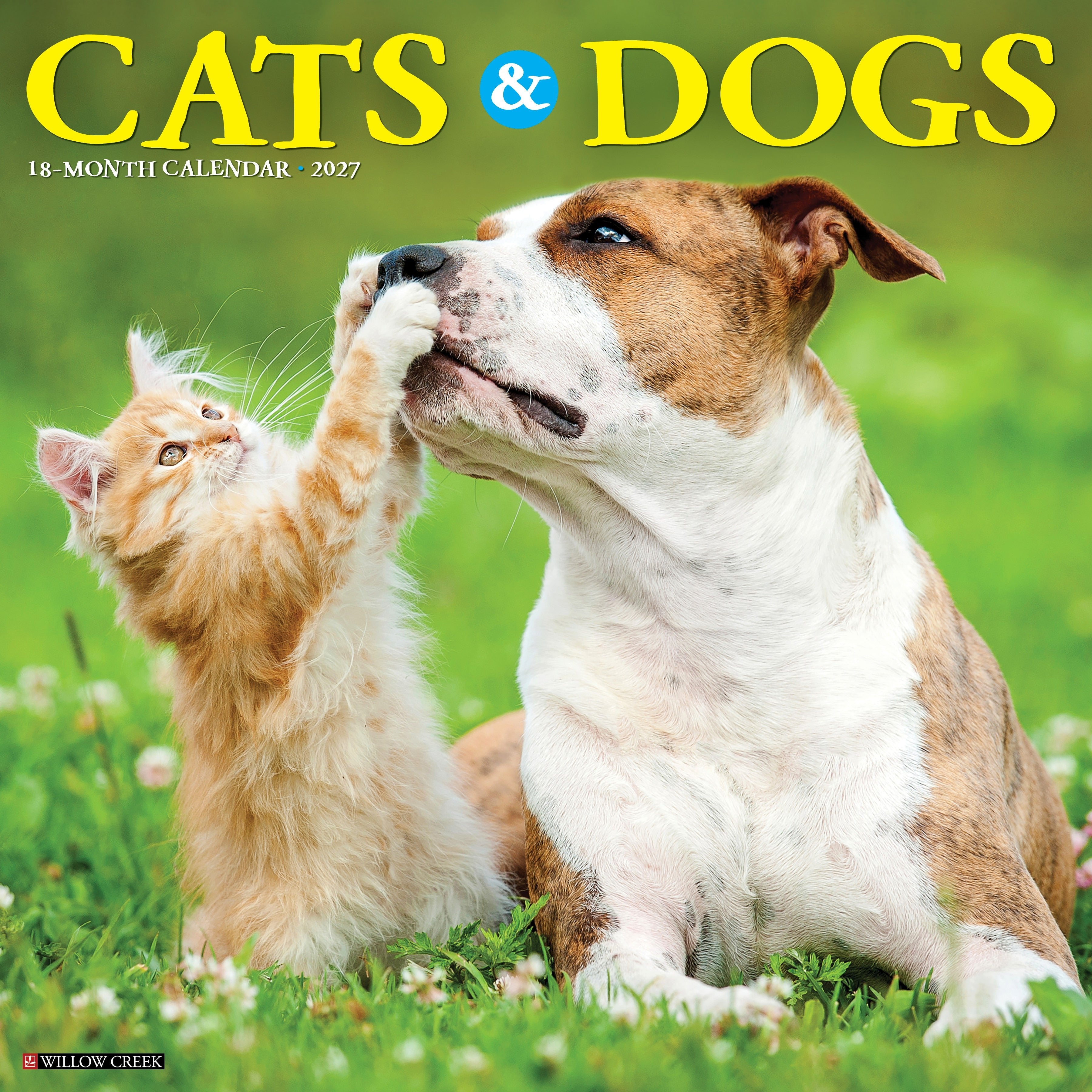 Cats & Dogs 2027 12" x 12" Wall Calendar
