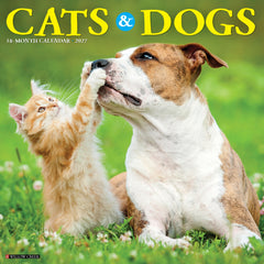 Cats & Dogs 2027 12" x 12" Wall Calendar